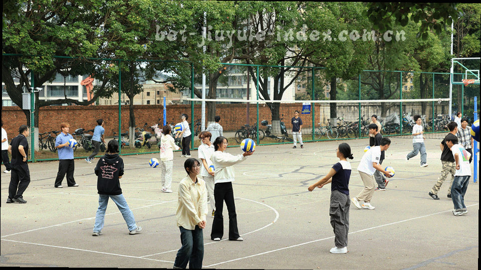 厂商轴与时间轴交叉的抽象索引导轨示意，线条与节点构成，无文字